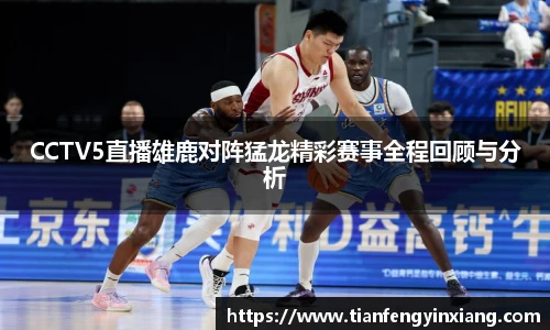 CCTV5直播雄鹿对阵猛龙精彩赛事全程回顾与分析