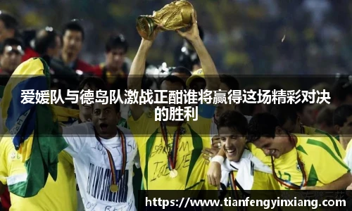 爱媛队与德岛队激战正酣谁将赢得这场精彩对决的胜利