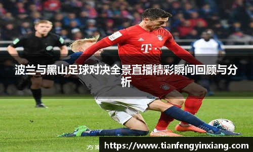 波兰与黑山足球对决全景直播精彩瞬间回顾与分析